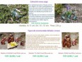 /album/decoracion-importacion-asiatica-oriental-retro-/diapositiva4-jpg2/